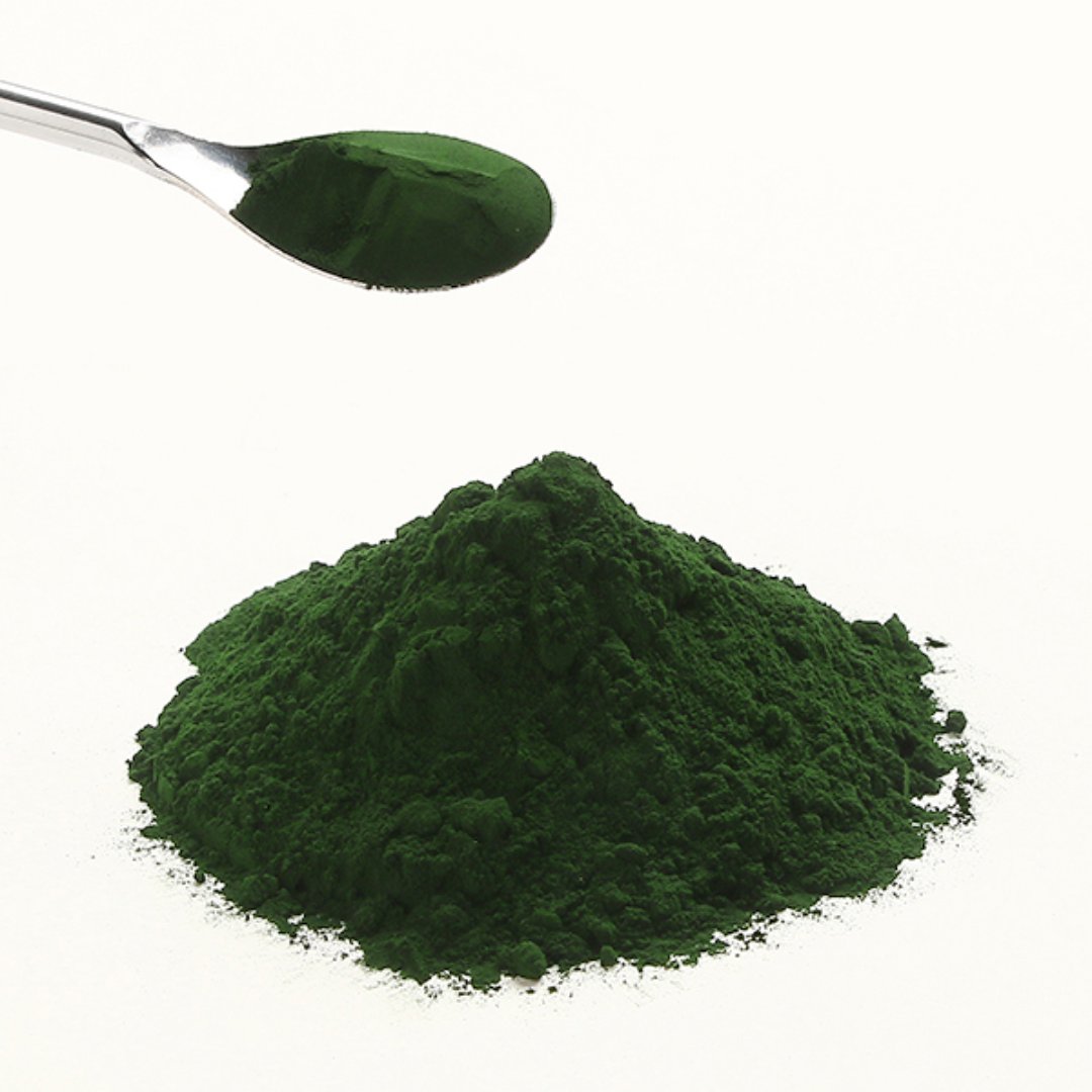 Premium Chlorella Supplement Bottle