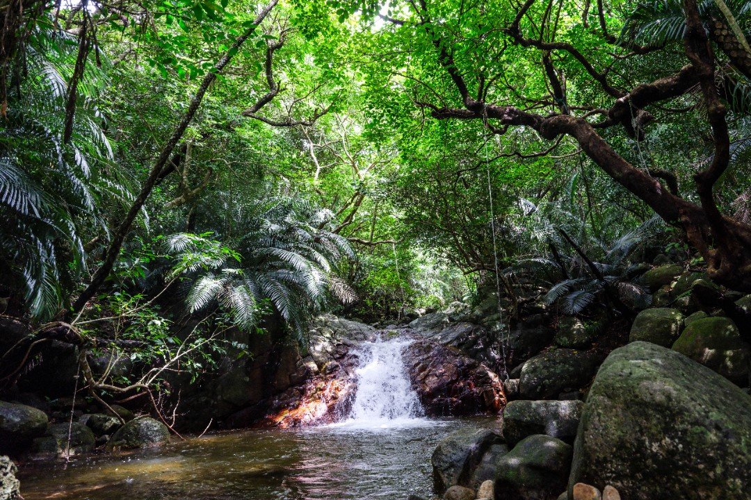 Ishigaki Island Landscape